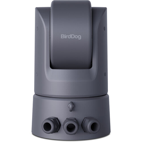 BirdDog O4 Outdoor PTZ Camera with 30x Optical Zoom