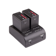 S-3602D 2-ch Panasonic VW-VBD & CGA Series Charger and Adapter