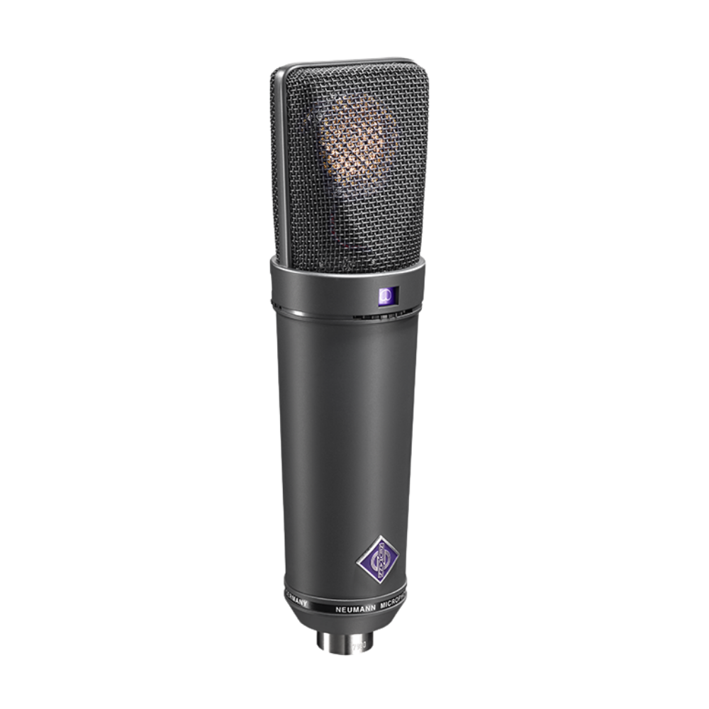 Neumann U 89 i Multi-Pattern Studio Condenser Microphone