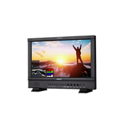 S-1173F 17.3-inch Full HD Waveform Studio LCD Monitor