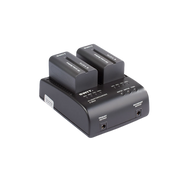 S-3602F 2-ch SONY NP-F Charger and Adapter