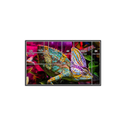 AJA Control Room™ Unified Ingest, Playback and Output Software