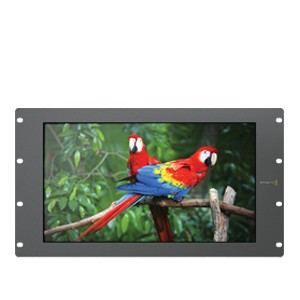 Monitors & Accessories