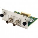 Modules & Interface Cards