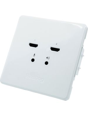 BirdDog Wallplate Dual Input
