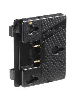 QR-JVCDIGI Gold Mount Plate - for JVC GY-HD200/250 HDV Camcorder