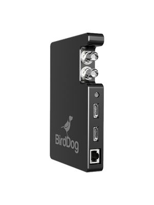 BirdDog Studio NDI SDI/HDMI to NDI Converter