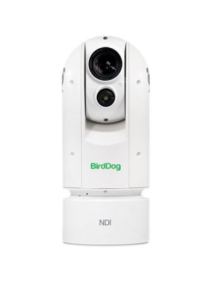 BirdDog Eyes A300 1080p Full NDI PTZ Camera with Sony Sensor and SDI
